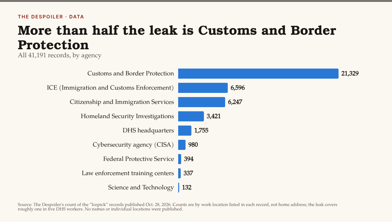 Bar chart: records by DHS agency. Customs and Border Protection 21,329; ICE 6,596; Citizenship and Immigration Services 6,247; Homeland Security Investigations 3,421; headquarters 1,755; CISA 980; others under 400.