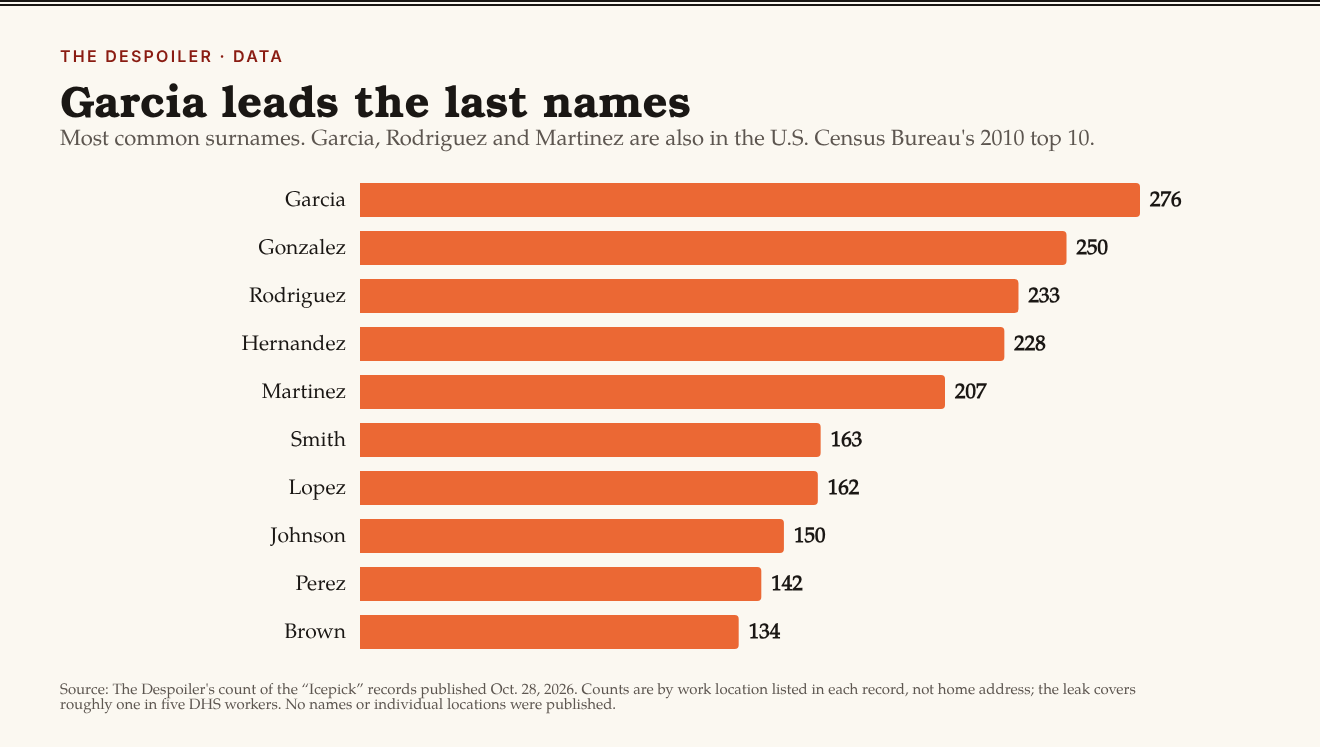 Bar chart: most common surnames. Garcia 276; Gonzalez 250; Rodriguez 233; Hernandez 228; Martinez 207; Smith 163; Lopez 162; Johnson 150; Perez 142; Brown 134.
